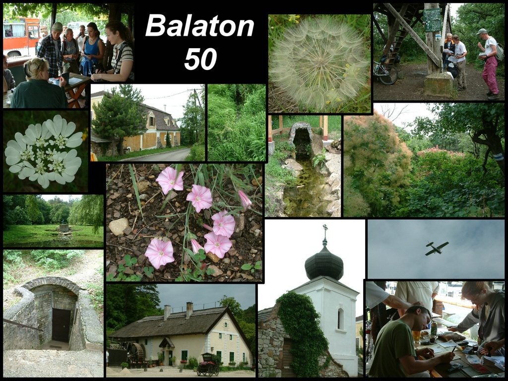 balaton50.jpg